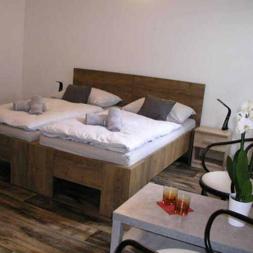 Standard Twin Room with Shower (extra bed available)