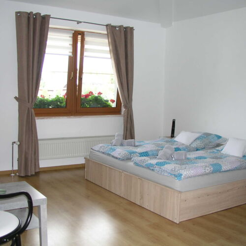 Superior Twin Room with Shower (extra bed available)