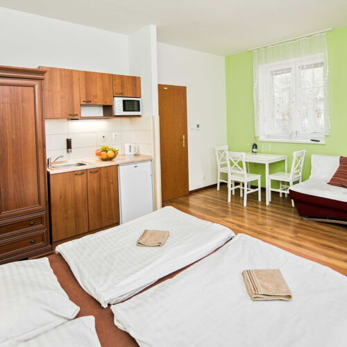 Depandance Studio Apartman s manželskou postelí s 1 ložnicí (s možností přistýlky)