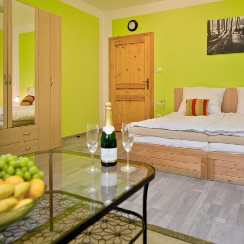 Standard Pokoj se sprchou s manželskou postelí (s možností přistýlky)