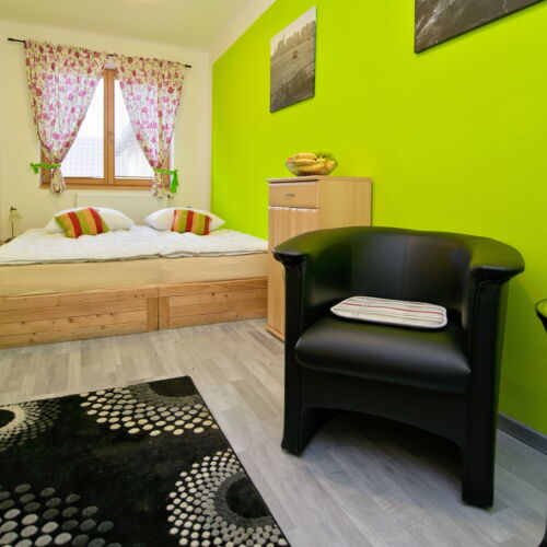 Standard Pokoj se sprchou s manželskou postelí