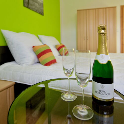 Deluxe Pokoj se sprchou s manželskou postelí