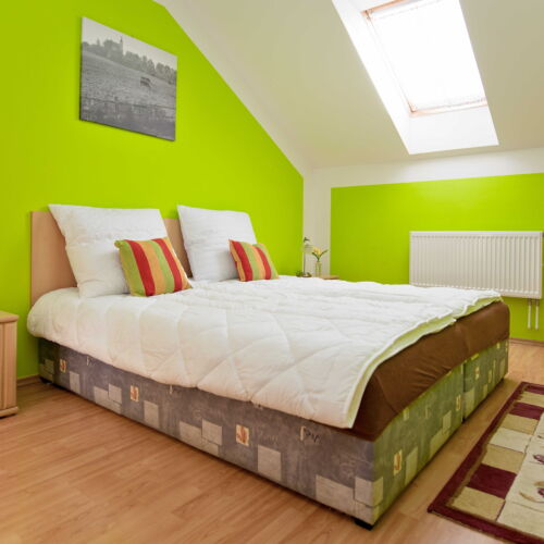 Standard Pokoj se sprchou s manželskou postelí