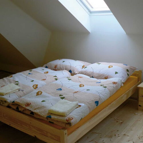 Pokoj se sprchou  pro 2 os.