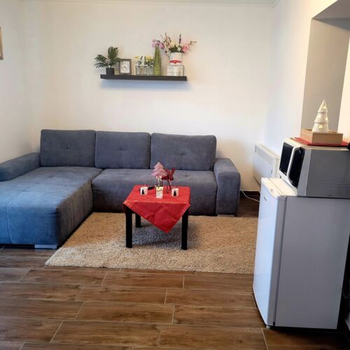 Apartament familial(ă) la parter cu 1 camera pentru 2 pers. (se poate solicita pat suplimentar)