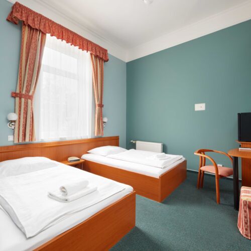 Camera twin standard cu duș (se poate solicita pat suplimentar)