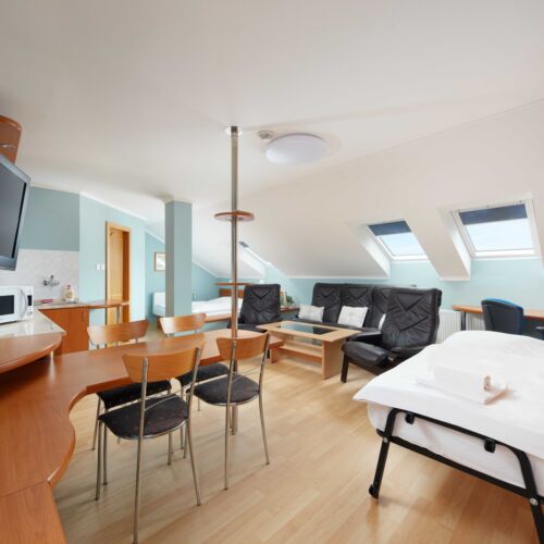 Camera twin studio la mansardă (se poate solicita pat suplimentar)