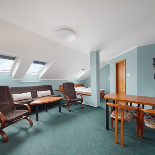 Camera twin studio la mansardă (se poate solicita pat suplimentar)