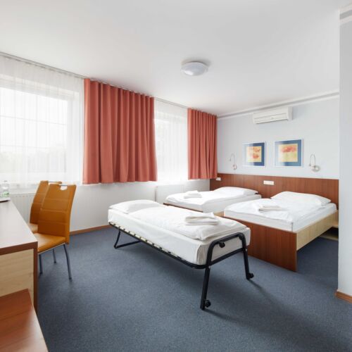 Camera twin superior cu duș (se poate solicita pat suplimentar)