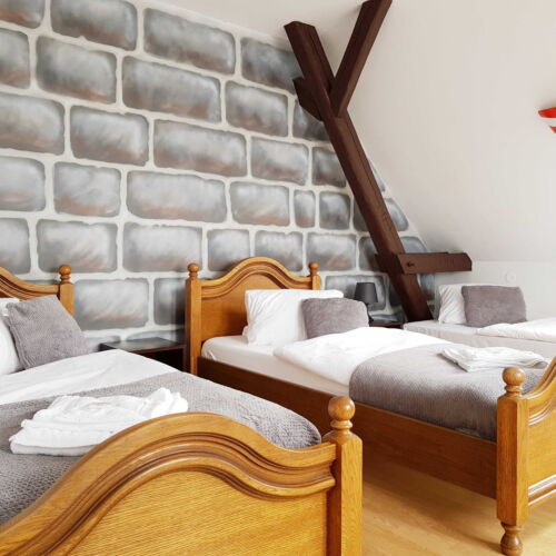 Camera tripla deluxe cu duș (se poate solicita pat suplimentar)