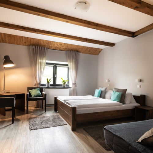 Pokoj se sprchou  pro 2 os. (s možností přistýlky)