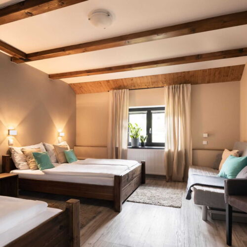 Pokoj se sprchou  pro 3 os. (s možností přistýlky)