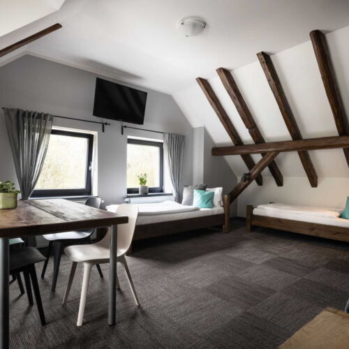 Pokoj se sprchou  pro 5 os. (s možností přistýlky)