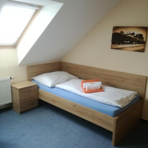 Dvoulůžkový pokoj s oddělenými postelemi