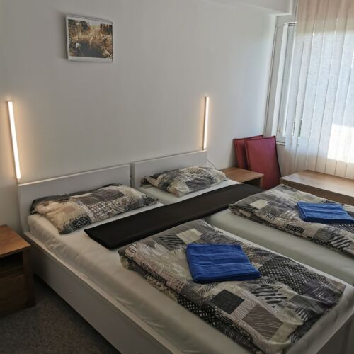 Camera dubla deluxe cu vedere spre oraș