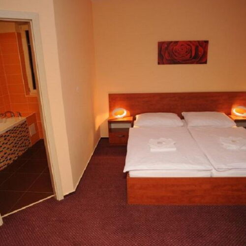 Camera tripla cu duș