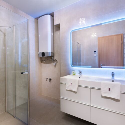 Deluxe 2-Room Apartment for 4 Persons with Shower