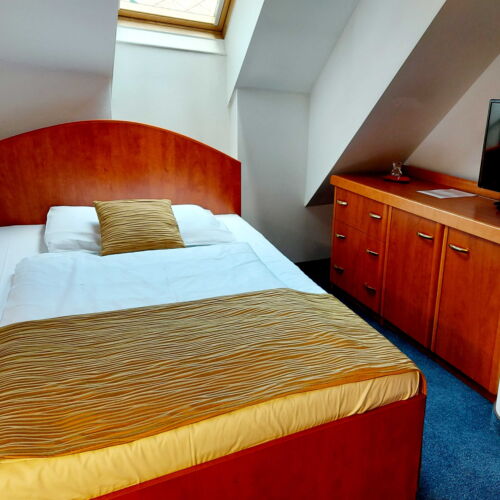 Standard Pokoj se sprchou pro 1 os.