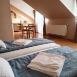 Apartament 2-osobowy na poddaszu Classic z 1 pomieszczeniem sypialnianym (możliwa dostawka)