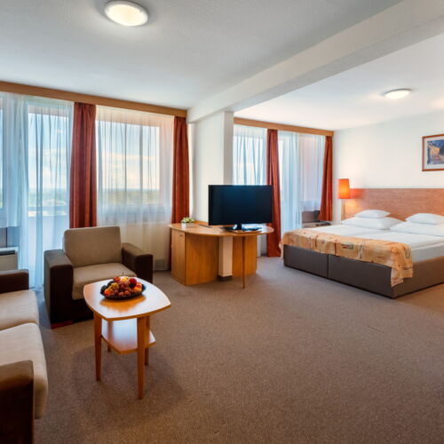 Superior 1-Room Apartment for 3 Persons