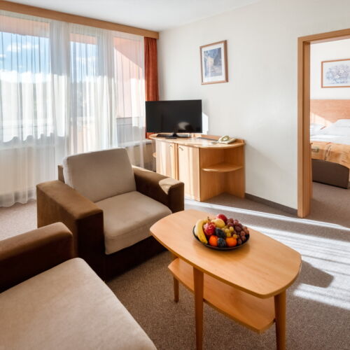 Superior 2-Room Apartment for 3 Persons