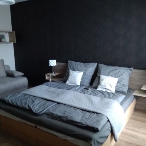 Apartament 2-osobowy z klimatyzacją z widokiem na jezioro z 1 pomieszczeniem sypialnianym (możliwa dostawka)