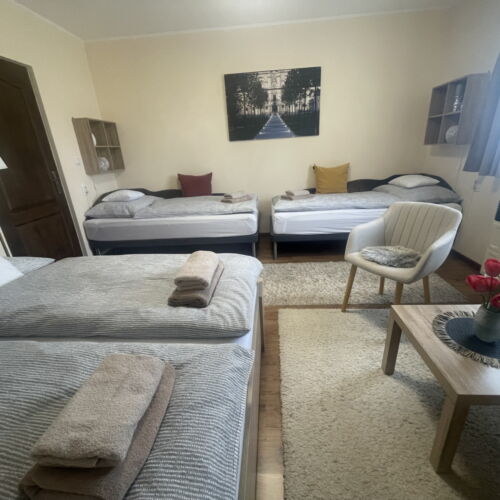 Apartament familial(ă) la parter cu 1 camera pentru 4 pers. (se poate solicita pat suplimentar)