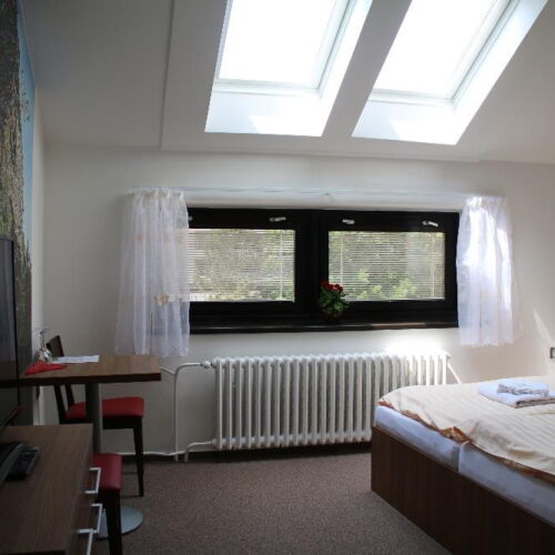 Studio Apartman se sprchou s manželskou postelí s 1 ložnicí