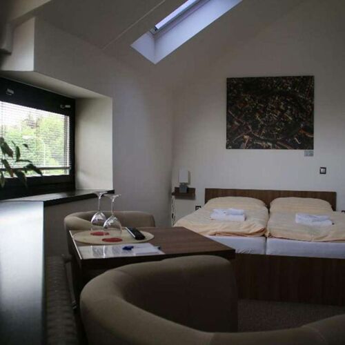 Pokoj se sprchou  s manželskou postelí