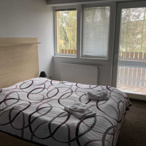 Camera twin deluxe cu duș