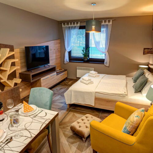 Camera twin standard cu duș (se poate solicita pat suplimentar)