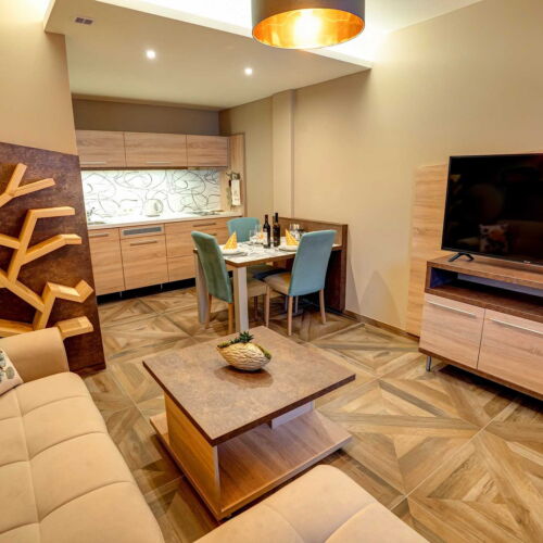 Camera twin deluxe cu duș (se poate solicita pat suplimentar)