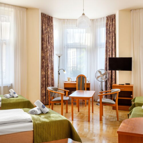 Pokój 4-osobowy na piętrze z widokiem na miasto