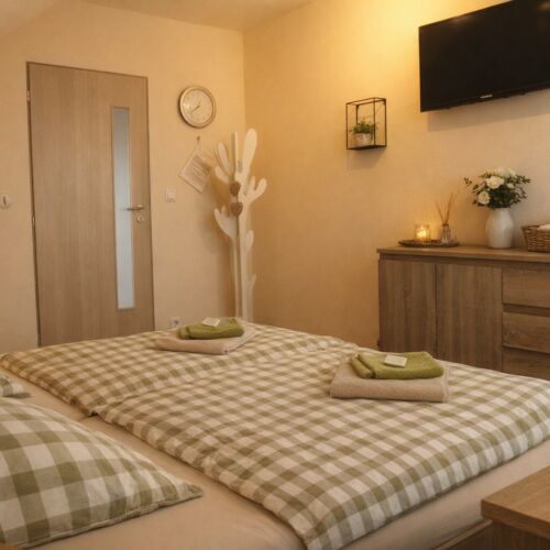 Double Room with Shared Kitchenette (extra bed available)