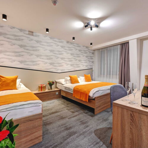 Pokoj se sprchou  pro 3 os.