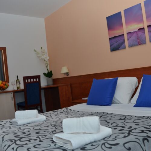 Pokój 2-osobowy Exclusive z widokiem na park