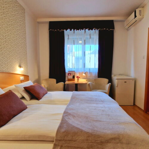 Camera twin standard