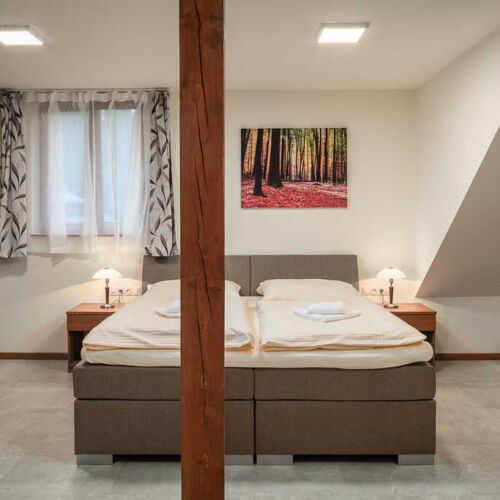 Dvolůžkový pokoj Depandance King Bed