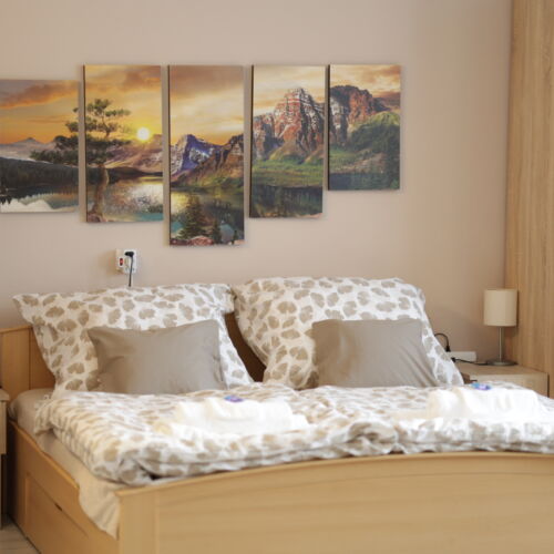 Apartament 4-osobowy z 1 pomieszczeniem sypialnianym