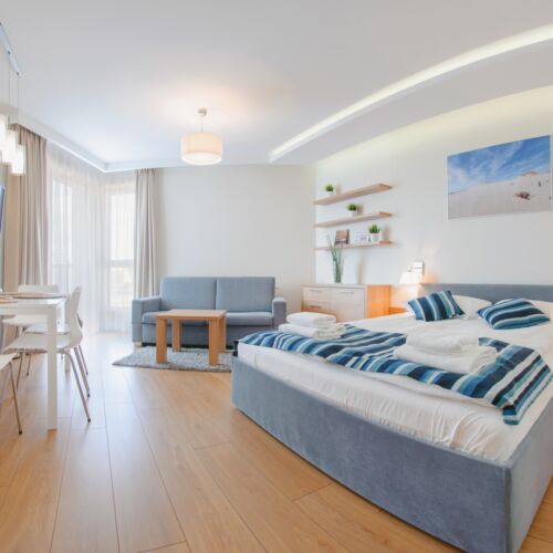 Apartament 4-osobowy Studio z 1 pomieszczeniem sypialnianym