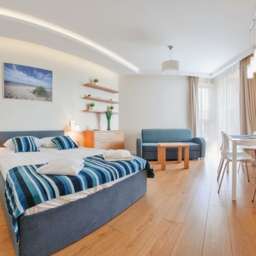 Apartament 4-osobowy Studio z 1 pomieszczeniem sypialnianym