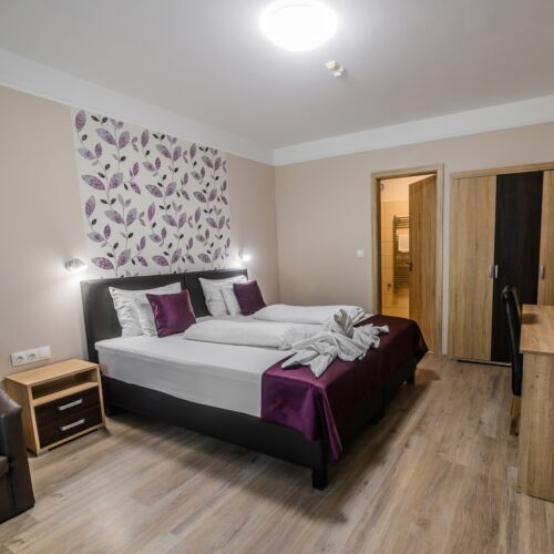 Camera dubla deluxe cu aer condiționat