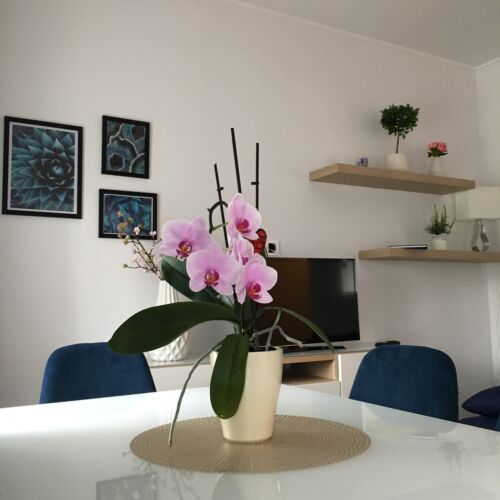 Apartament deluxe premium cu 2 camere pentru 4 pers.