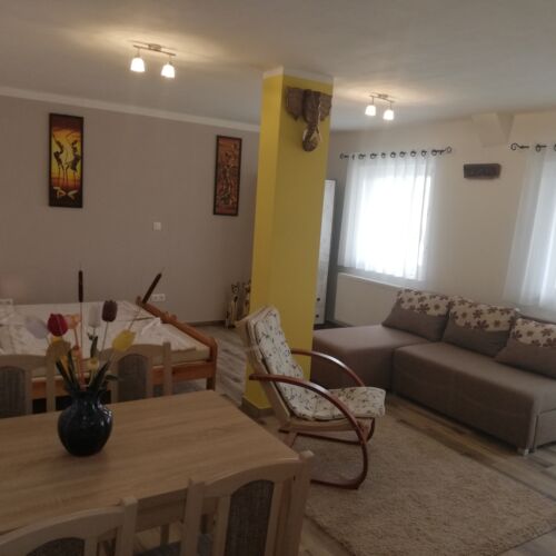 Apartament exclusive cu aer condiționat cu 1 camera pentru 2 pers. (se poate solicita pat suplimentar)