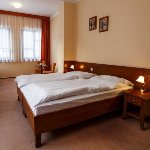 Standard Pokoj se sprchou s manželskou postelí (s možností přistýlky)