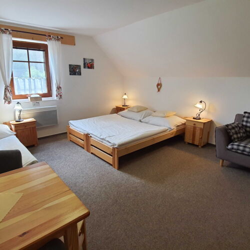 Pokój 3-osobowy z prysznicem ze wspólnym aneksem kuchennym