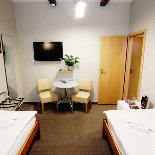 Classic Twin Room air Conditioned