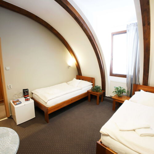 Classic Twin Room air Conditioned