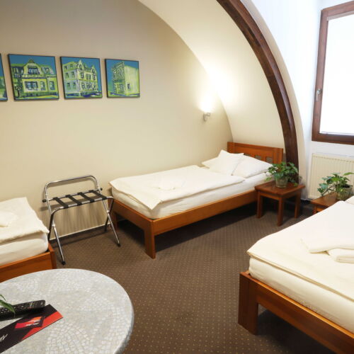 Economy Air Conditioned Triple Room