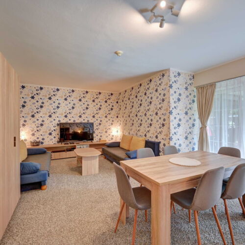 Apartman se sprchou s vlastní kuchyňkou pro 4 os.